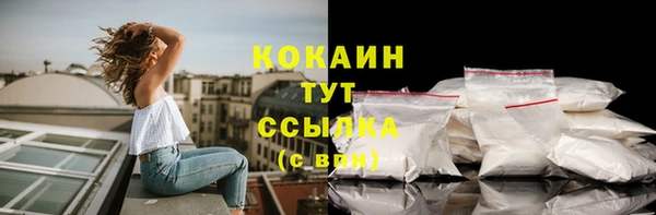 твердый Богданович