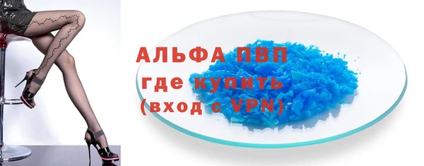твердый Богданович