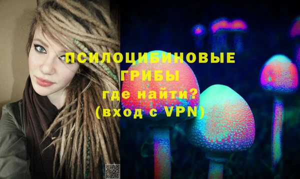 твердый Богданович