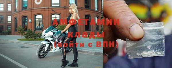 твердый Богданович