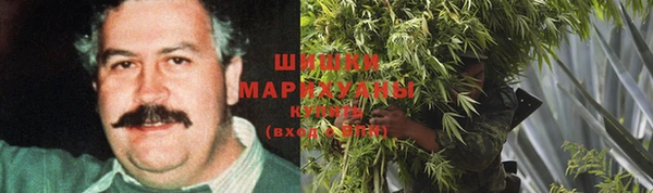 твердый Богданович